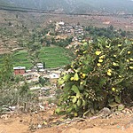 Photo taken by carole c