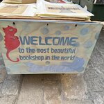 Photo taken by Amanda F