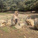 Photo taken by Allison O