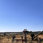 Photo taken by Michelle L