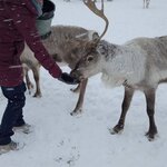 Photo taken by Kim R