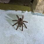 Photo taken by Mark A