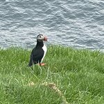 Photo taken by Sadhana K