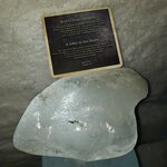 Photo taken by Erica B