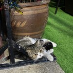 Photo taken by Aya I