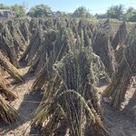 Photo taken by Mark B