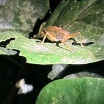 Photo taken by Mary D