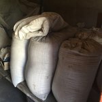 Wheat for the animals | Photo taken by Barbara D