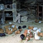 Photo taken by Tara T