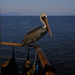 Photo taken by Joseph P