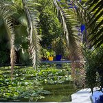 Photo taken by Lindsey B