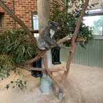 Photo taken by Julie H