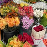 Photo taken by Stephanie F