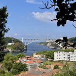 Photo taken by Alyson P