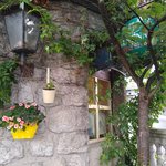 Photo taken by Janis R