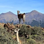 Photo taken by Stacy W