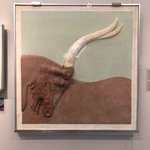 Actual elements of the bull fresco | Photo taken by Rebecca R