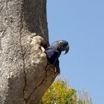 Photo taken by Sathees R