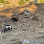 Photo taken by Gaia B