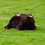 Photo taken by Robert W