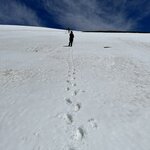 Photo taken by Kolla S