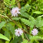 Photo taken by Michelle C