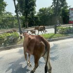 Photo taken by Lindy S