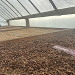 Photo taken by Grace V