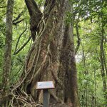 Photo taken by Ceinwen P