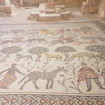 Photo taken by Beata p