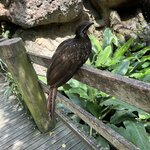 Photo taken by Miguel T