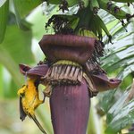 Photo taken by Graeme W