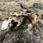 Photo taken by Michael L