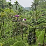 Photo taken by Nancy P