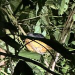 Photo taken by Bonnie Y