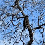 Photo taken by Gary W