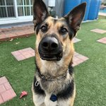 Photo taken by Debbie W