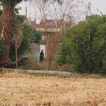 Photo taken by Kim M