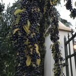 Walking around at Club Tapiz | Photo taken by Lauri F