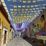 Photo taken by Julie S