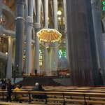 Photo taken by Suzanne S