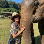 Photo taken by Suprema M