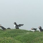 Photo taken by Margaret S
