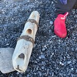 Photo taken by Stephanie O