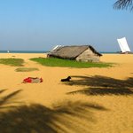 Photo taken by Alfred T