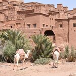 Photo taken by SARMA M