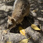 Photo taken by Amy Z