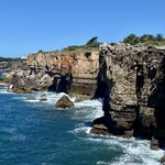 Photo taken by Lisa B