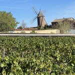 Photo taken by Melody B