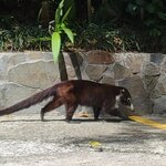 Photo taken by Darlene N